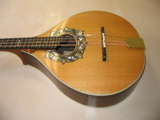 Octave mandolin