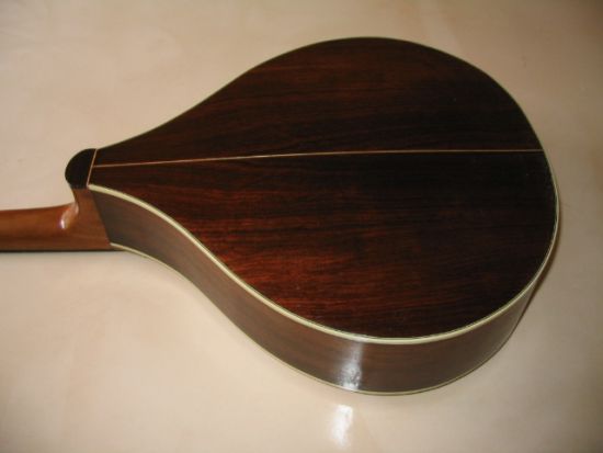 Octave mandolin