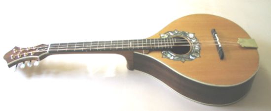 Octave mandolin