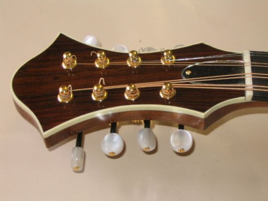 Octave mandolin