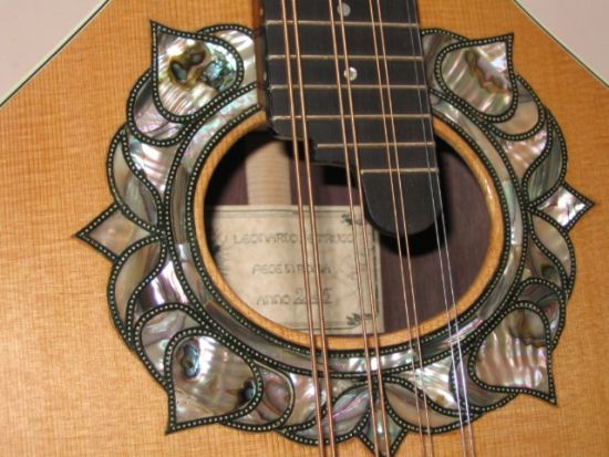 Octave mandolin