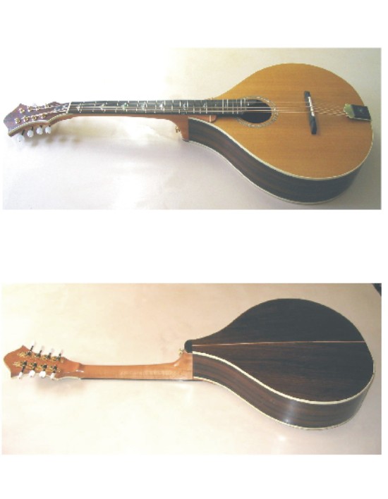 Octave mandolin