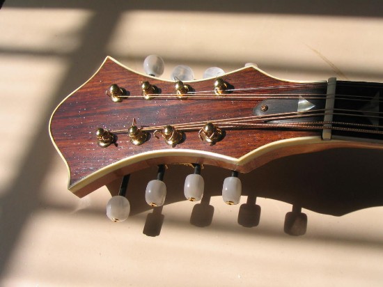 Octave mandolin