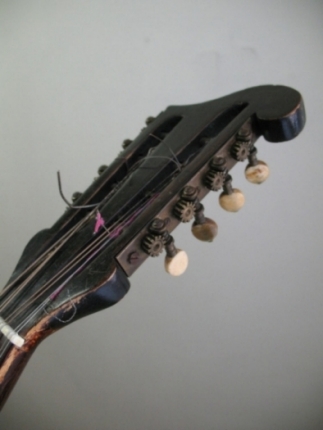 Mandola F.lli DE FALCO - Allievi di VINACCIA - Napoli 1884