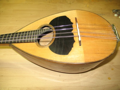 Mandolino Molinari - Roma 1888